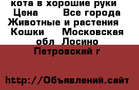 кота в хорошие руки › Цена ­ 0 - Все города Животные и растения » Кошки   . Московская обл.,Лосино-Петровский г.